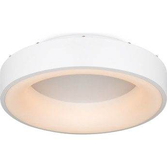 Потолочный светильник FREY LUMIX FR6118CL-L45W